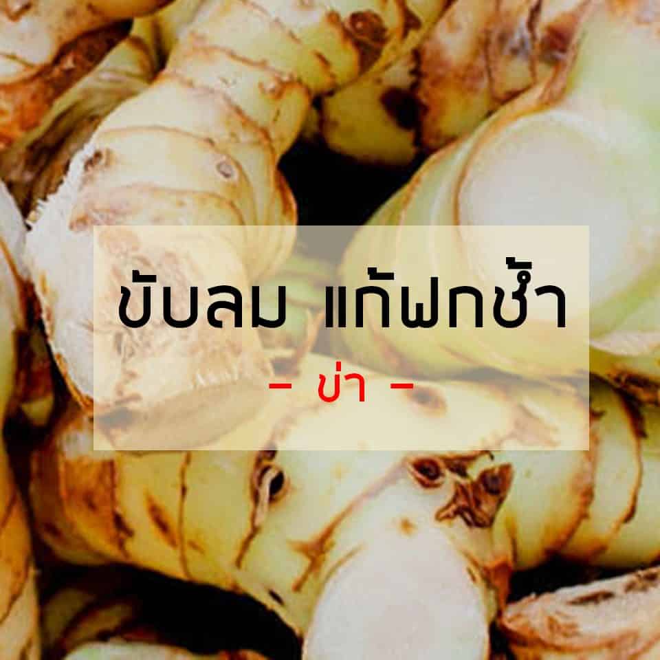 18Medicine ข่า