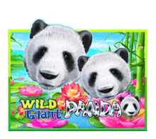joker gaming wild giant panda